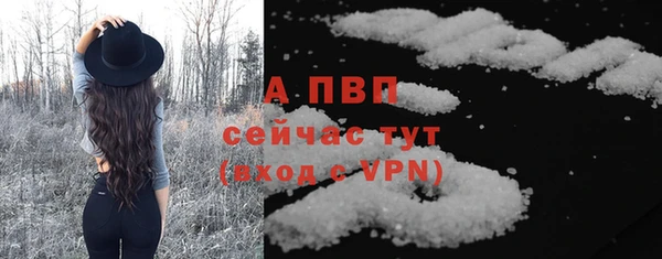 экстази Белокуриха