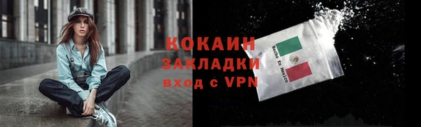 гашик Белоозёрский