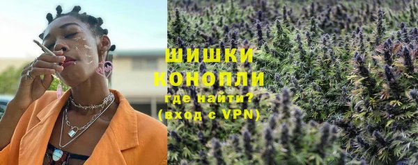 гашик Белоозёрский