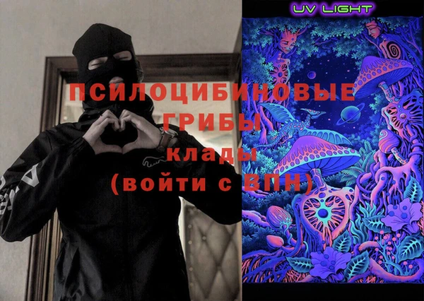 гашик Белоозёрский
