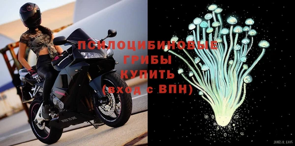 экстази Белокуриха