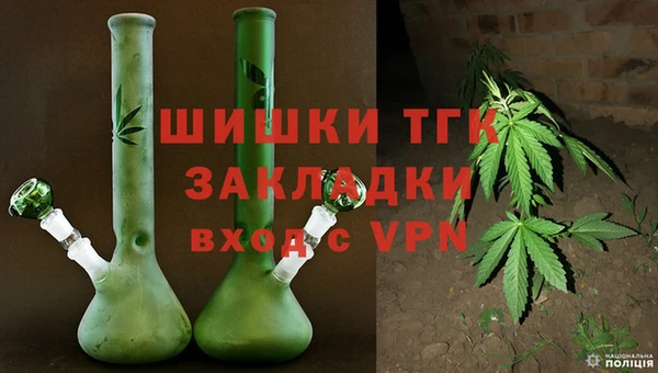 гашик Белоозёрский