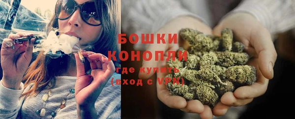 гашик Белоозёрский