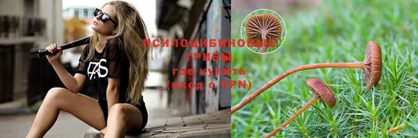 экстази Белокуриха
