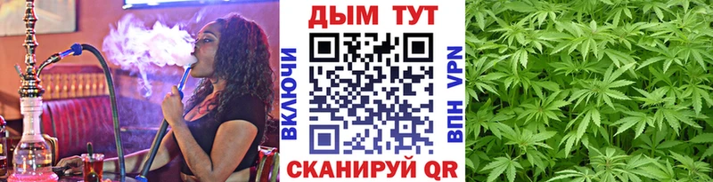 Бошки марихуана SATIVA & INDICA  Великий Устюг 